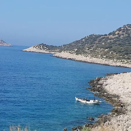 Central * Kalkan